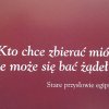 Spotkanie z pszczelarzem